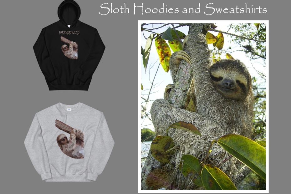 Sloth Hoodies and Sweatshirts