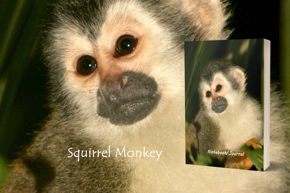 Squirrel Monkey Journal