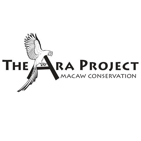 Ara Project/Proyecto Ara