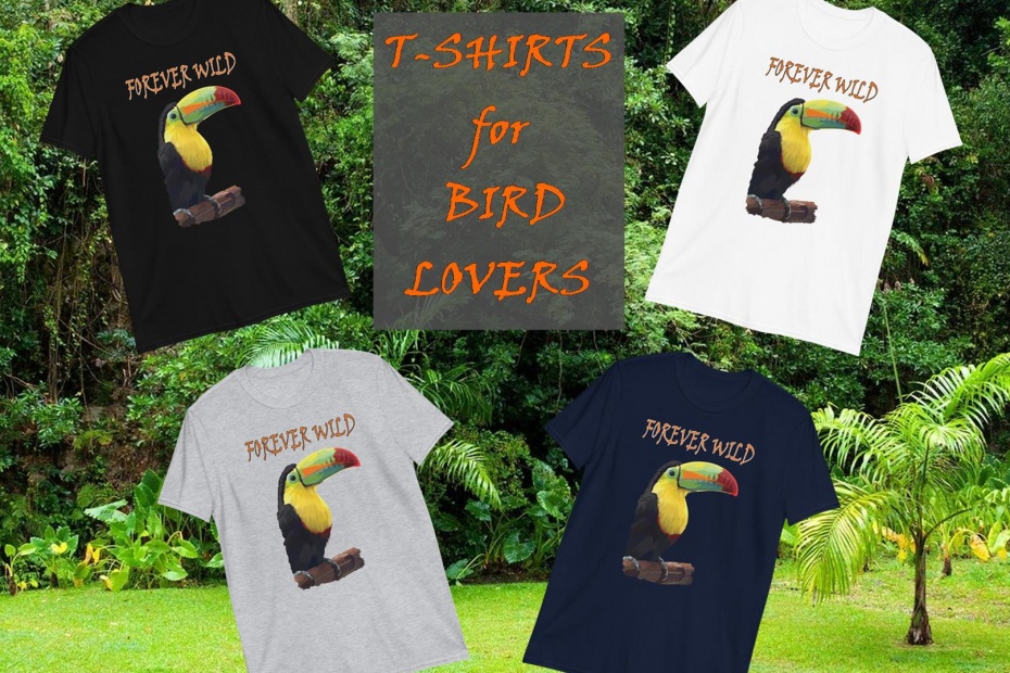 Toucan Graphic T-Shirts