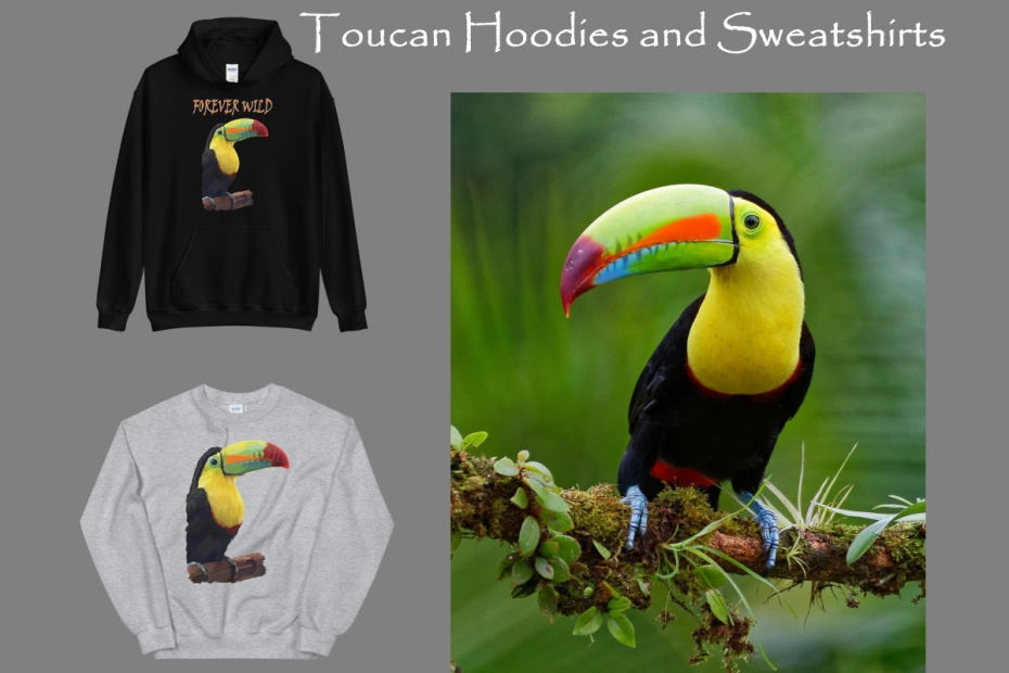 Toucan Hoodies and Sweatshirts