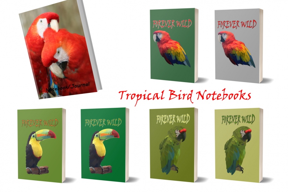 Tropical Bird Notebooks