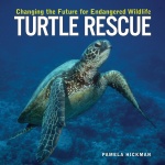 Turtle Rescue 