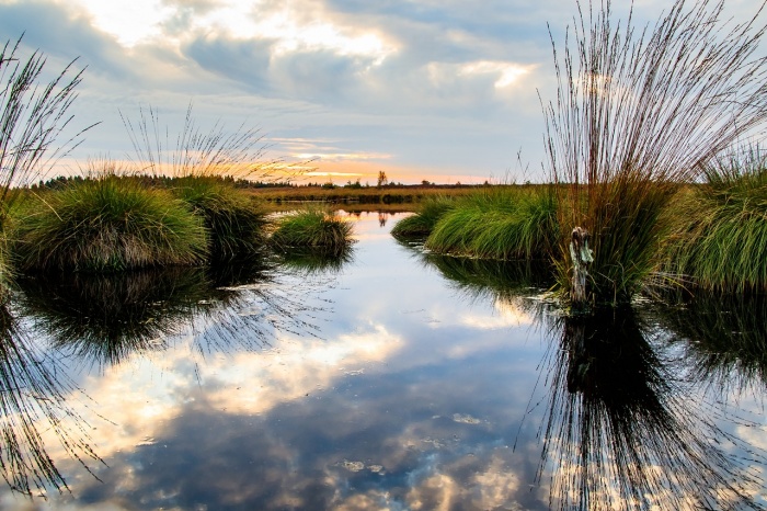 World Wetlands Day - Wetlands