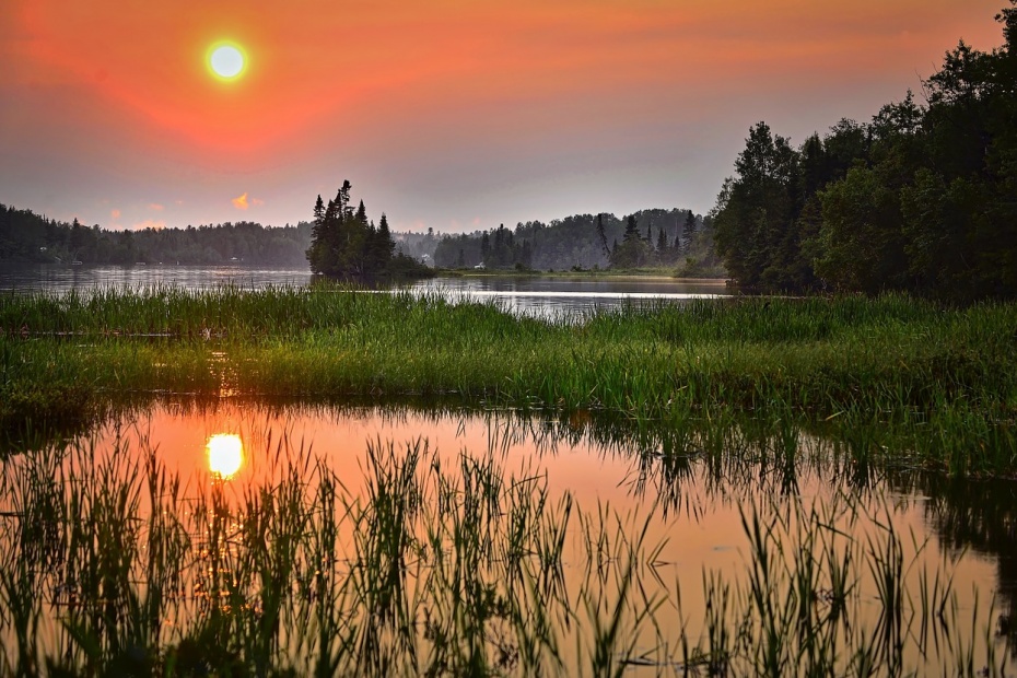 Wetlands