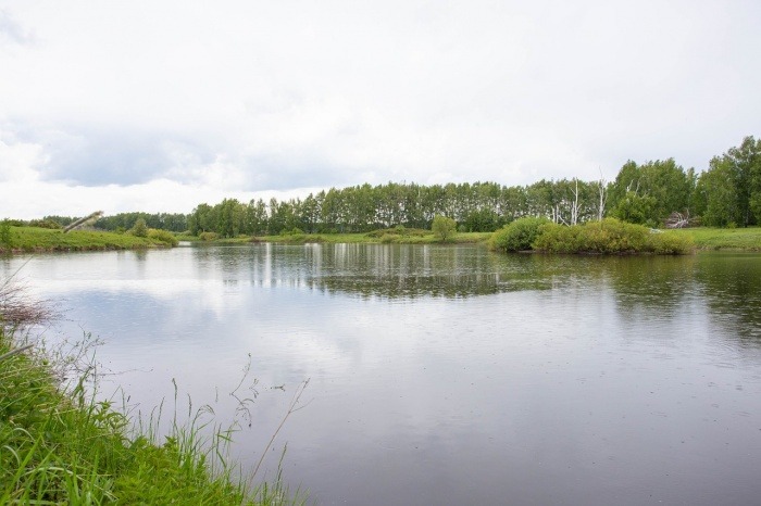 World Wetlands Day - Wetlands