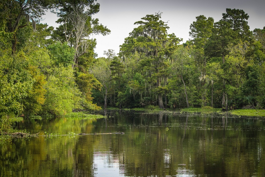 Wetlands