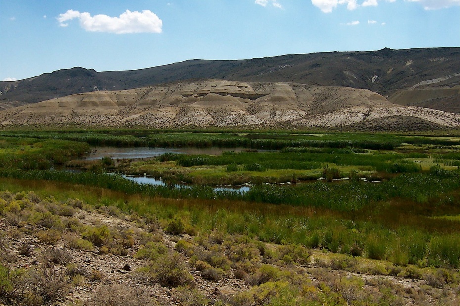 Wetlands