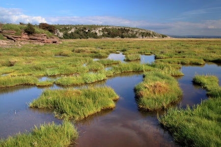 World Wetlands Day - Wetlands