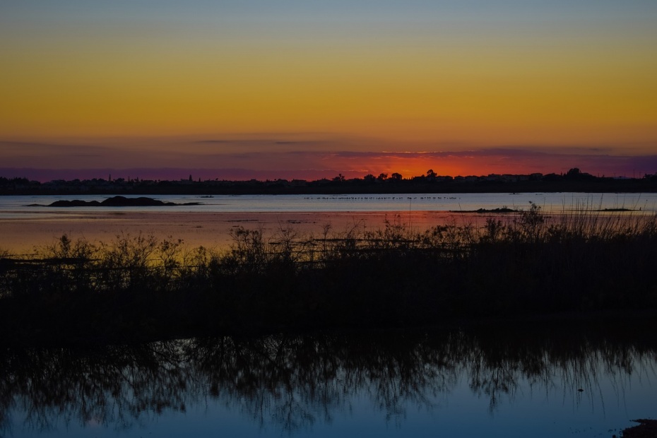 Wetlands