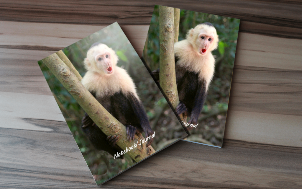 White Faced Capuchin Monkey Notebook - White Faced Capuchin Monkey Journal