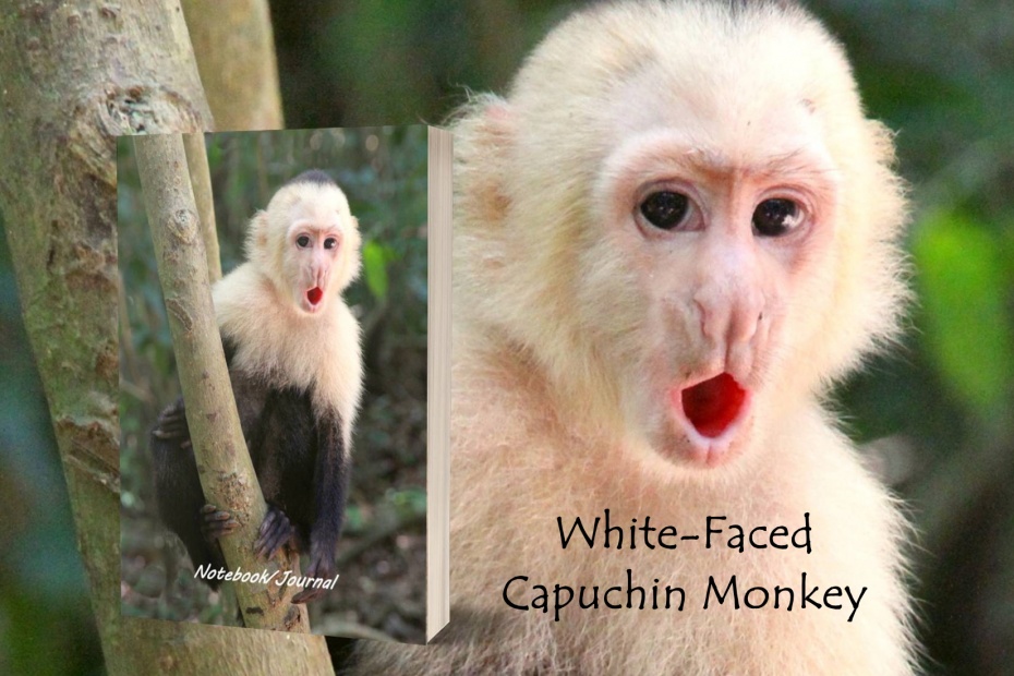 White Faced Capuchin Monkey Journal