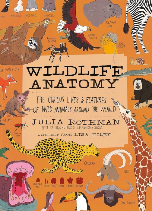 Wildlife Anatomy