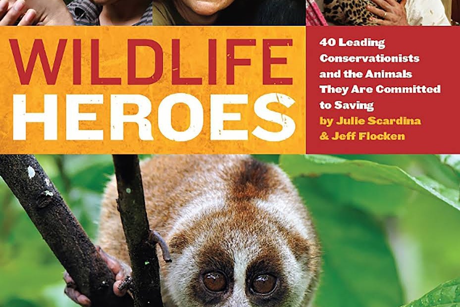 Wildlife Heroes