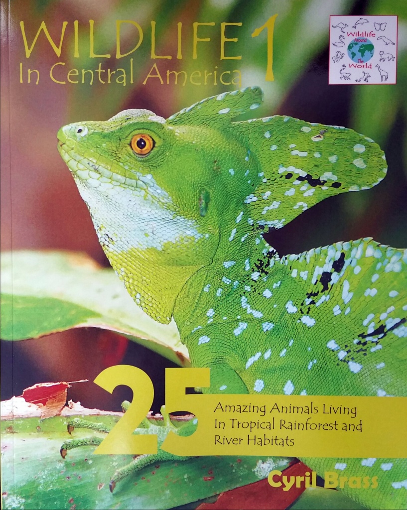 Wildlife In Central America 1