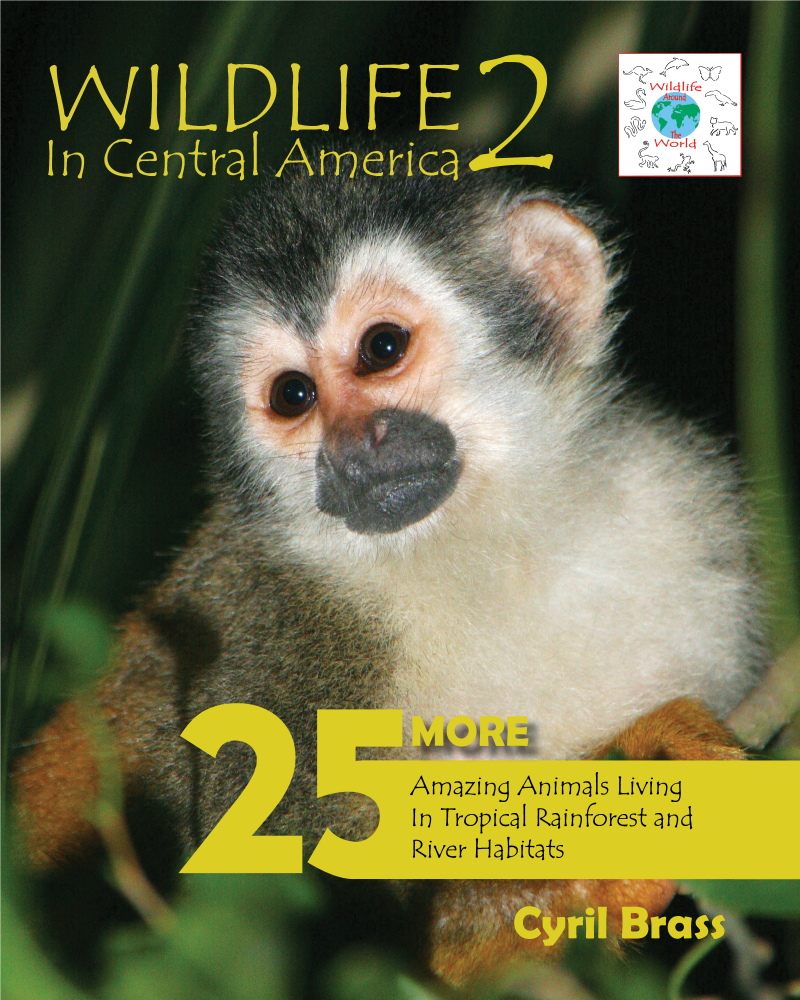 Central America Wildlife Books - Wildlife In Central America 2 Photo Book