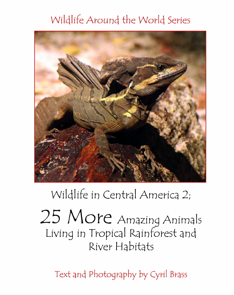 Wildlife in Central America Photo Books - Wildlife In Central America 2 - Front Page