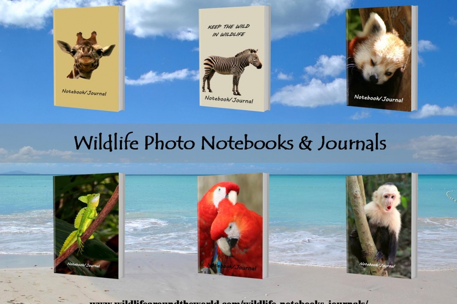 Wildlife Photo Notebooks - Wildlife Around the World