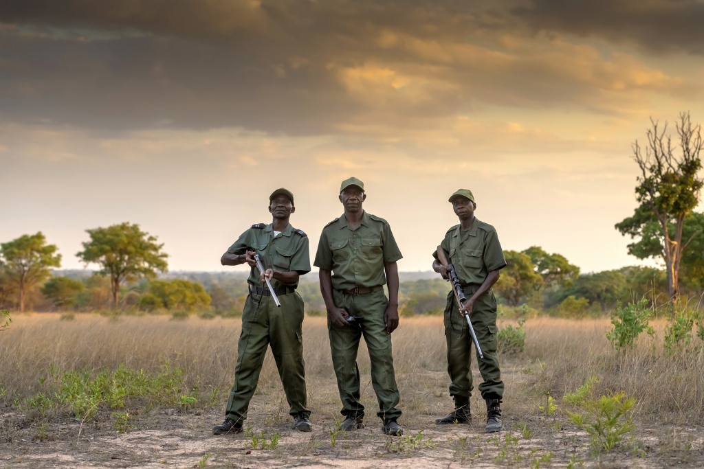 World Ranger Day - Wildlife Rangers