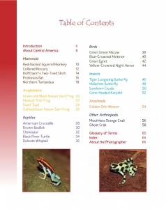 World Bonobo Day - Wildlife in Central America 2 - Table of Contents