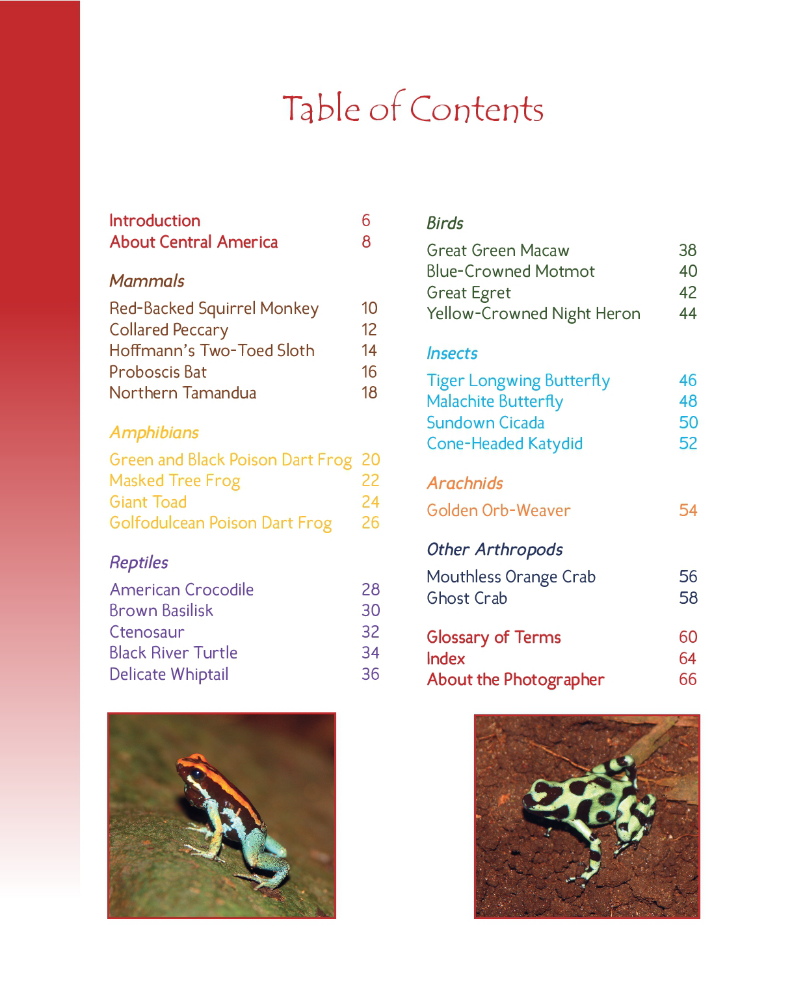 Wildlife in Central America 2 - Table of Contents
