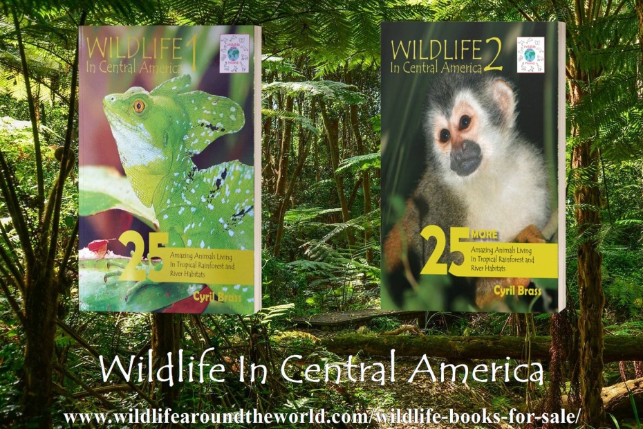 Wildlife in Central America Photo Books