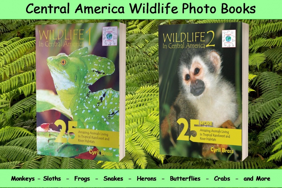 Wildlife in Central America Books
