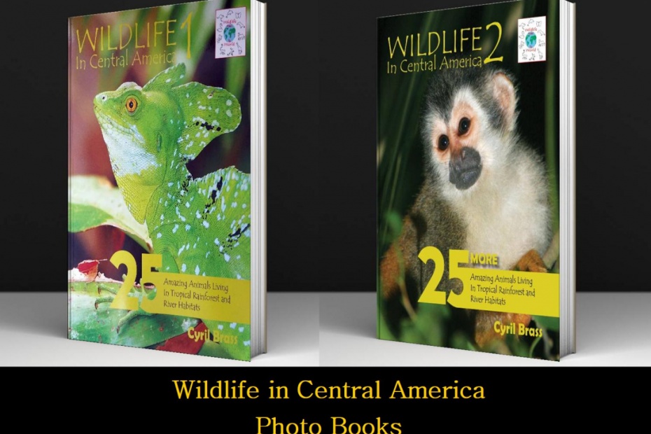 Wildlife in Central America Photo Books