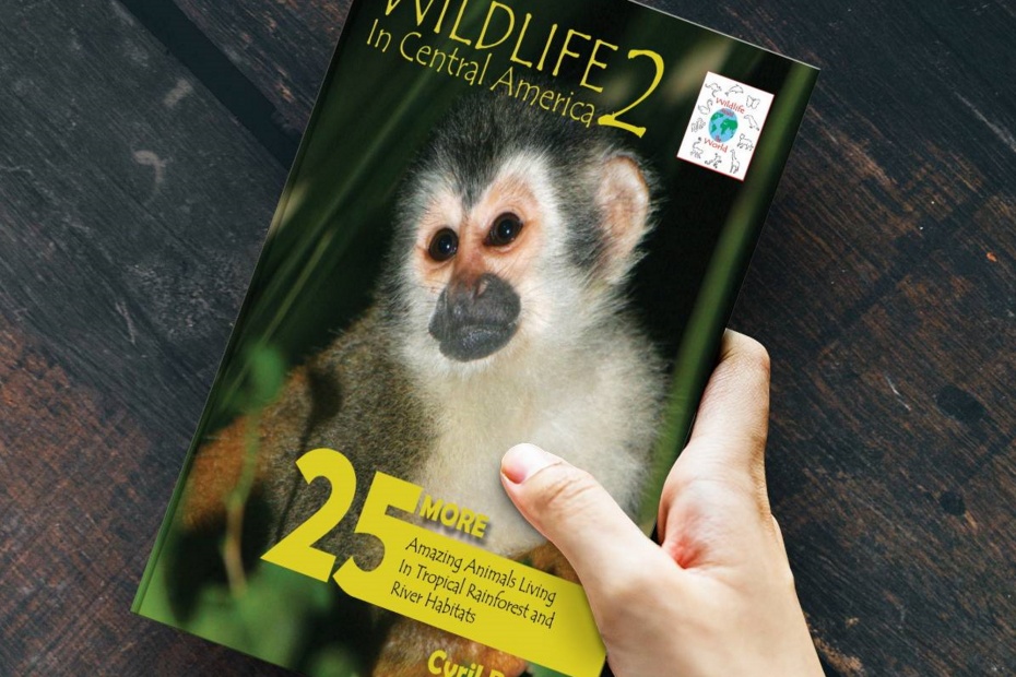 Wildlife in Central America 2 Photo Book