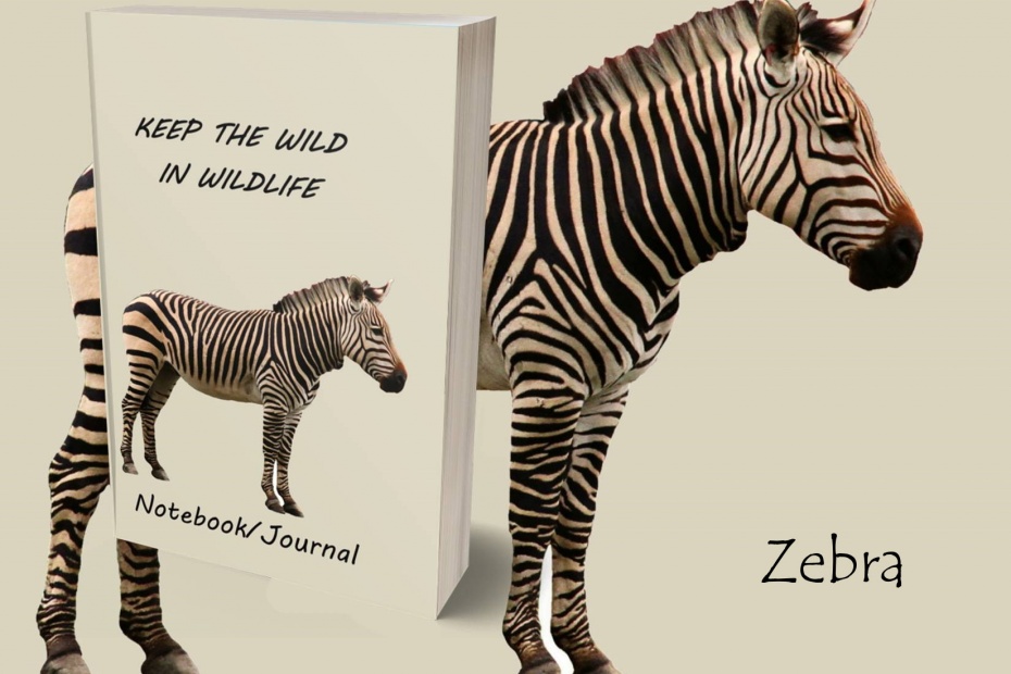 Zebra Journal