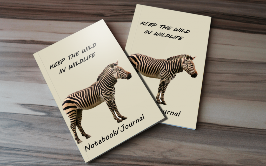 Zebra Photo Artwork - Zebra Journal