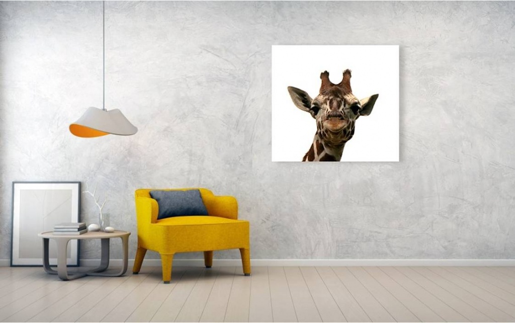 Giraffe Photo Artwork - Giraffe Canvas Print by Cyril Brass